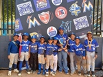 Club Naco se corona Campeón en Beisbol (7-8 años)