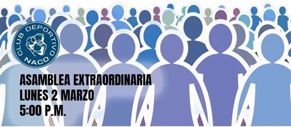 Asamblea General Extraordinaria