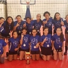 Club Naco y Calero Dominaron Torneo Navideño de Voleibol