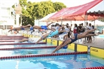 Delfines Confiados Tendrán Buena Actuación en Evento Internacional