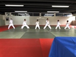 Karatecas Naqueños Recibieron Examen Semestral de Skif